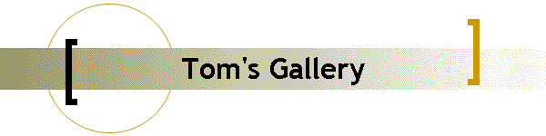 Tom's Gallery